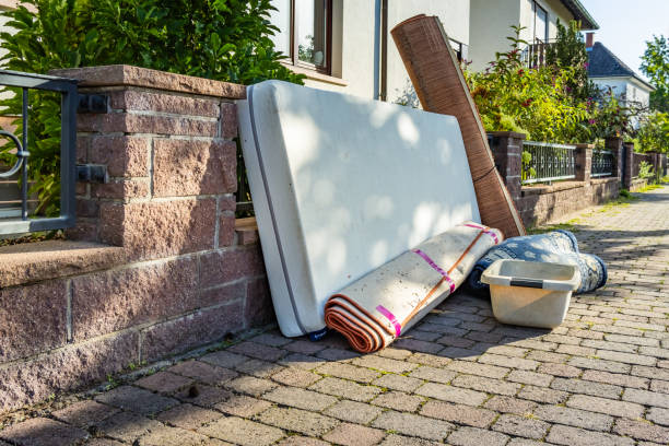Yard Cleanup Services in Felton, DE
